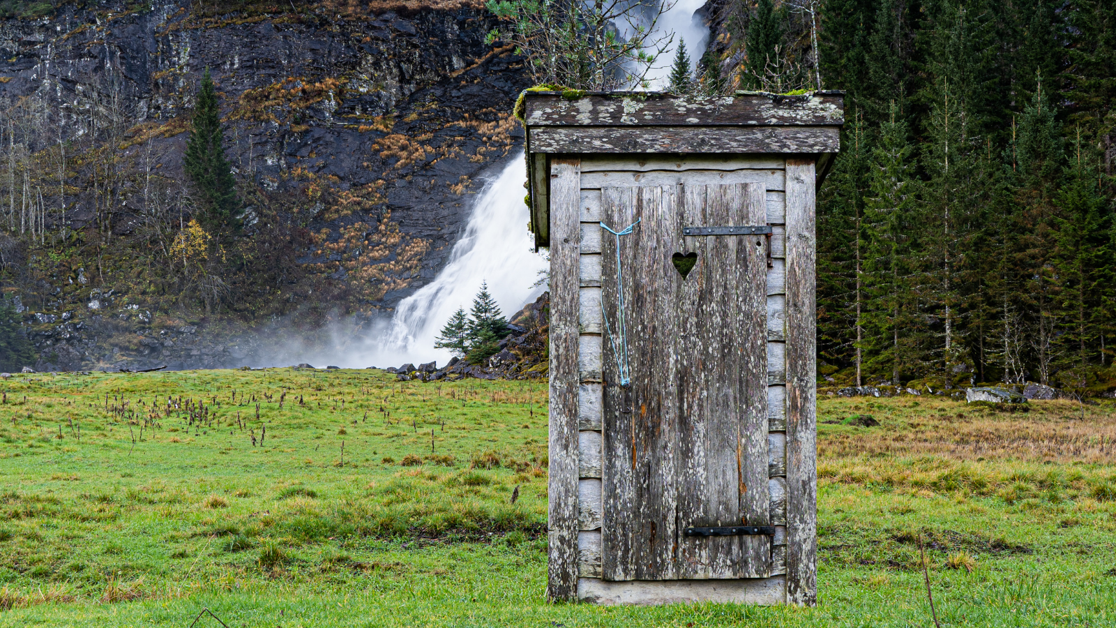 Toilet in the wilderness