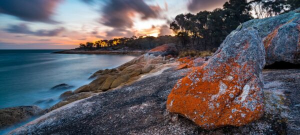 Flinders Island