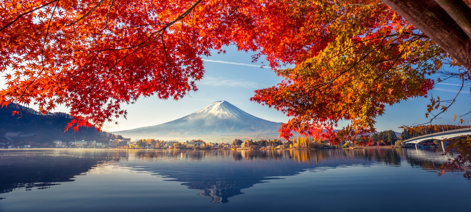 book travel with confidence, tokyo.