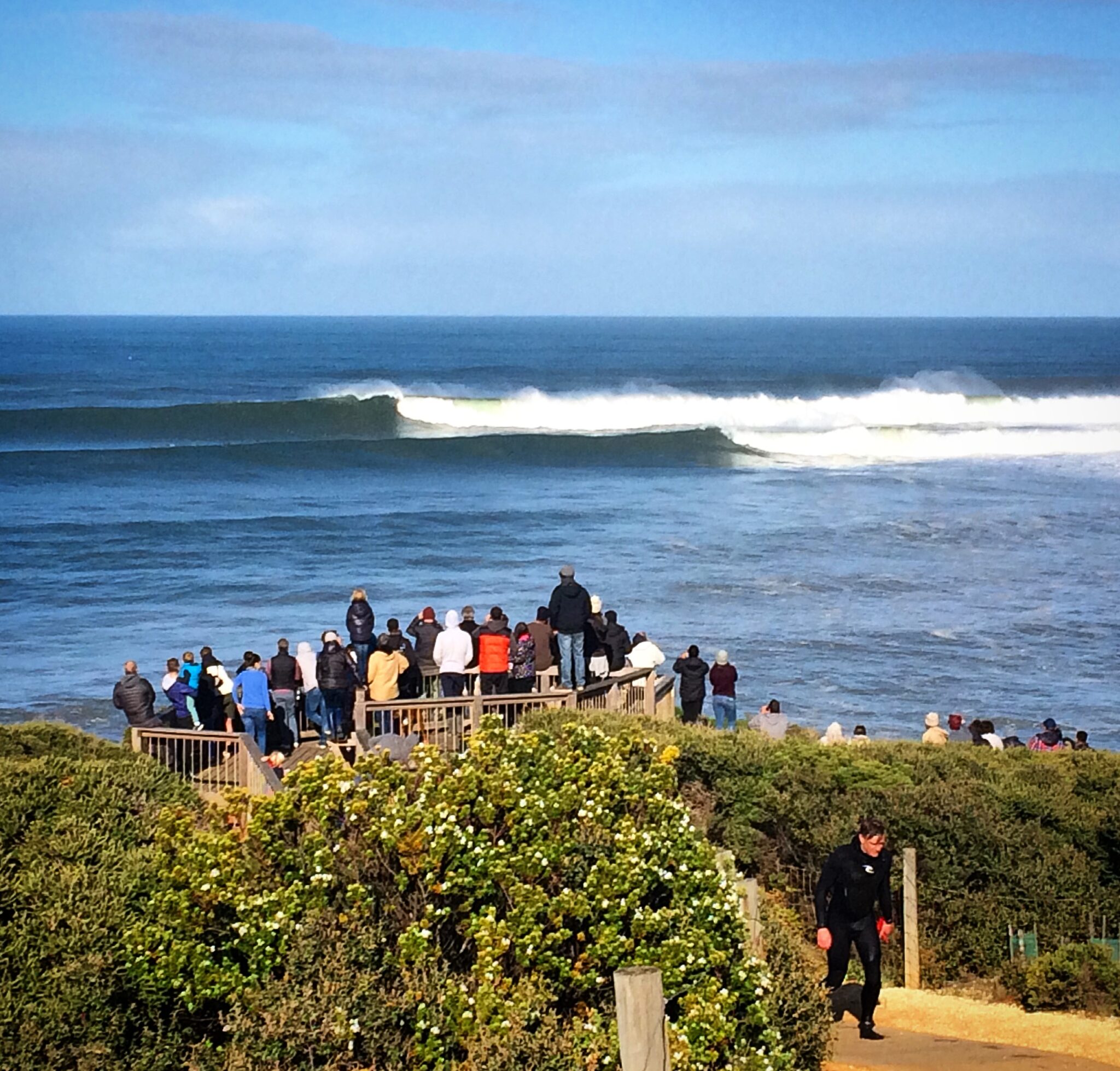 People watching epic waves at Bells Beach