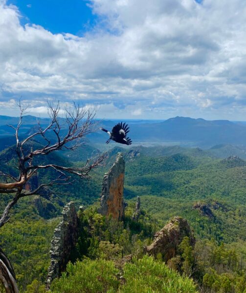 Warrumbungles