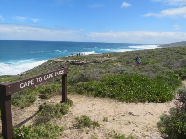 Cape to Cape walk track