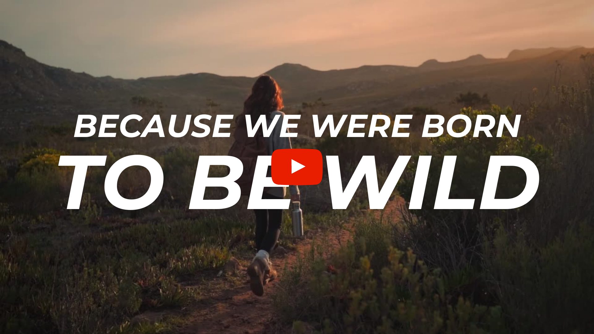 Born to be Wild Video