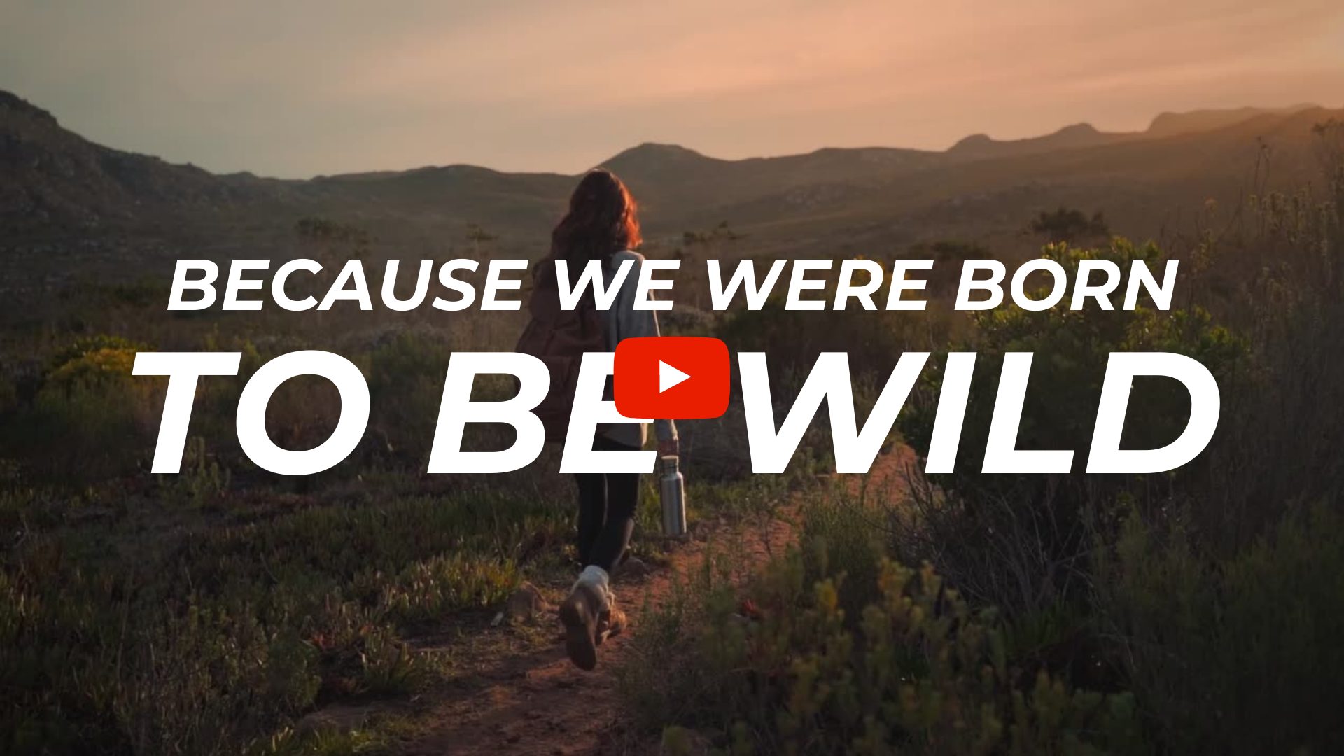 Born to be Wild Video