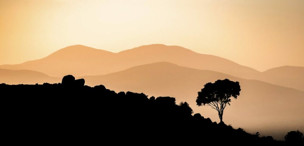 Cooleman Ridge, Canberra