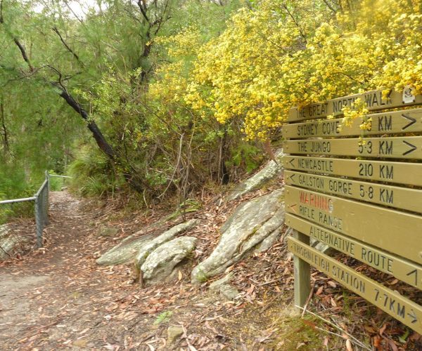 Galston Gorge Trackhead