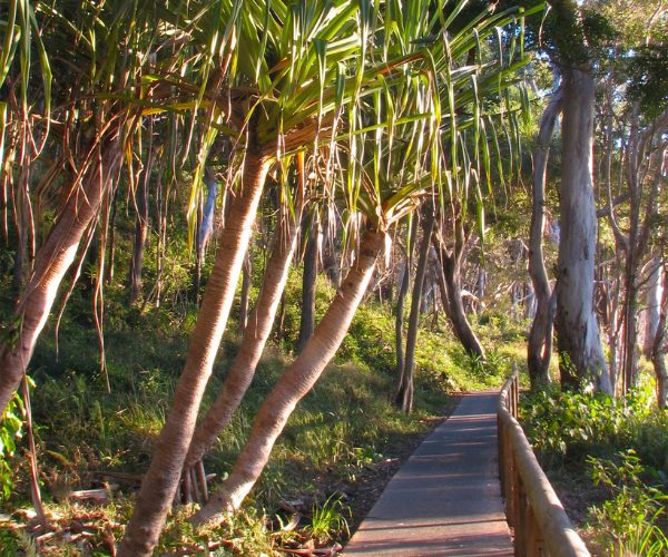Noosa Coastal Walk