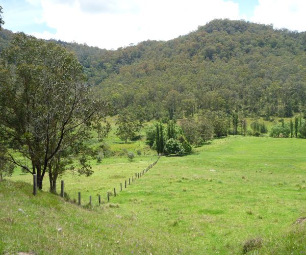 Watagan Creek Crossing